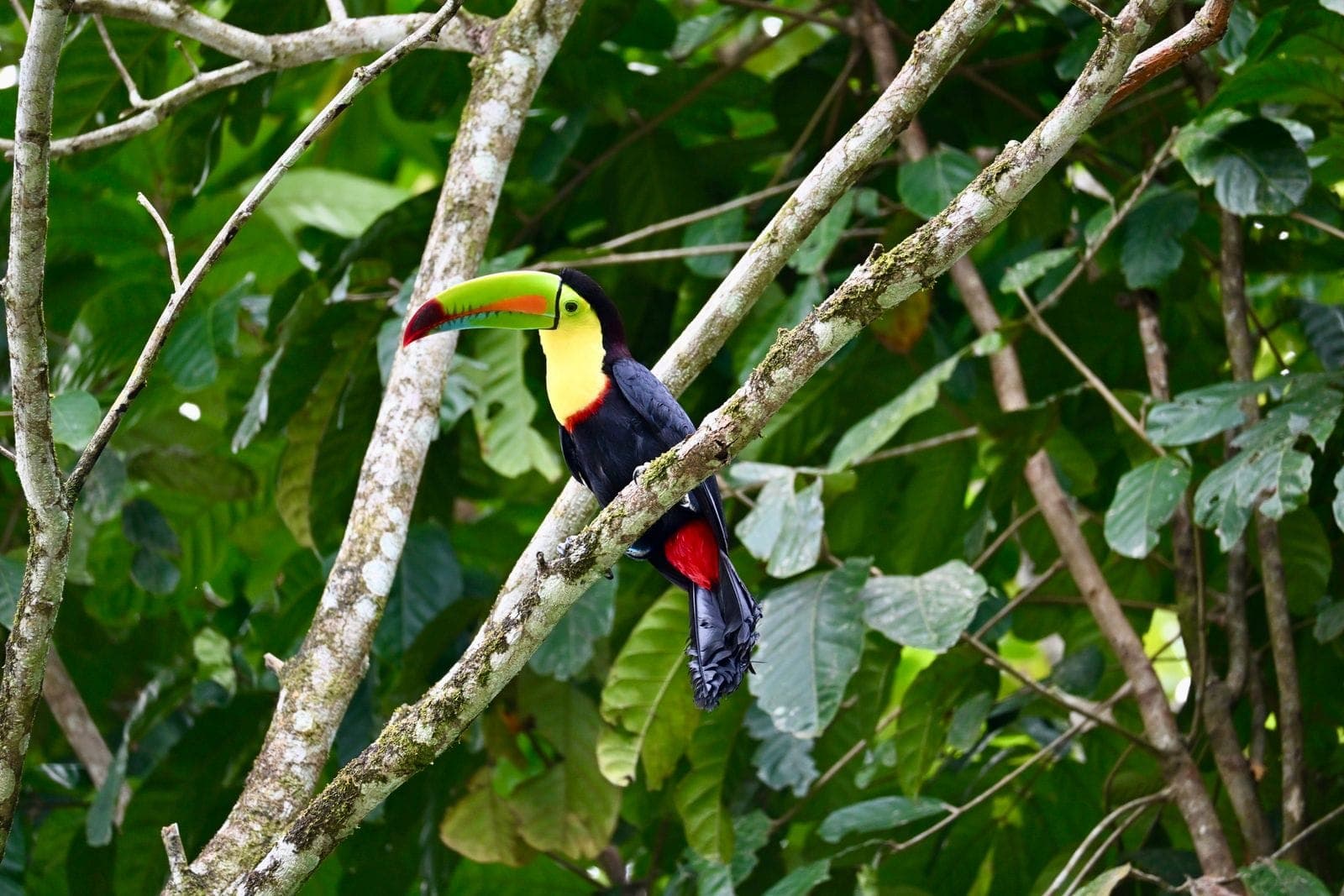Costa Rica landscape
