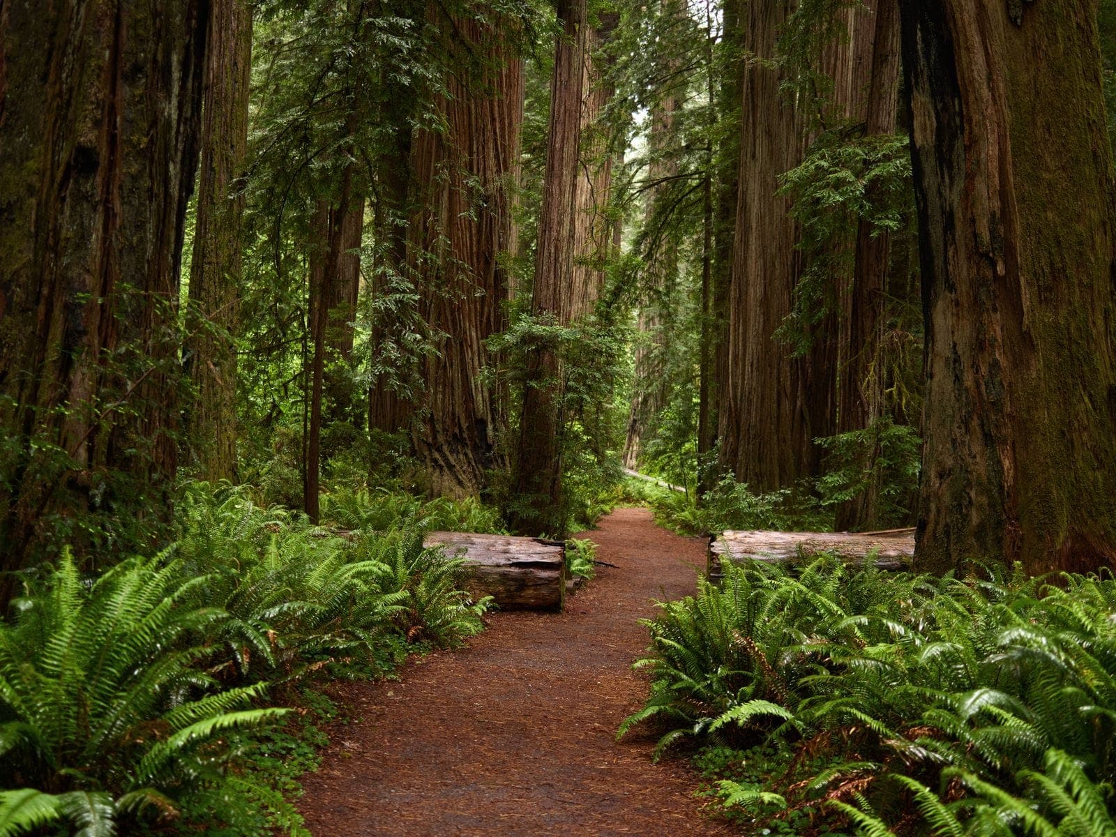 Northern California landscape